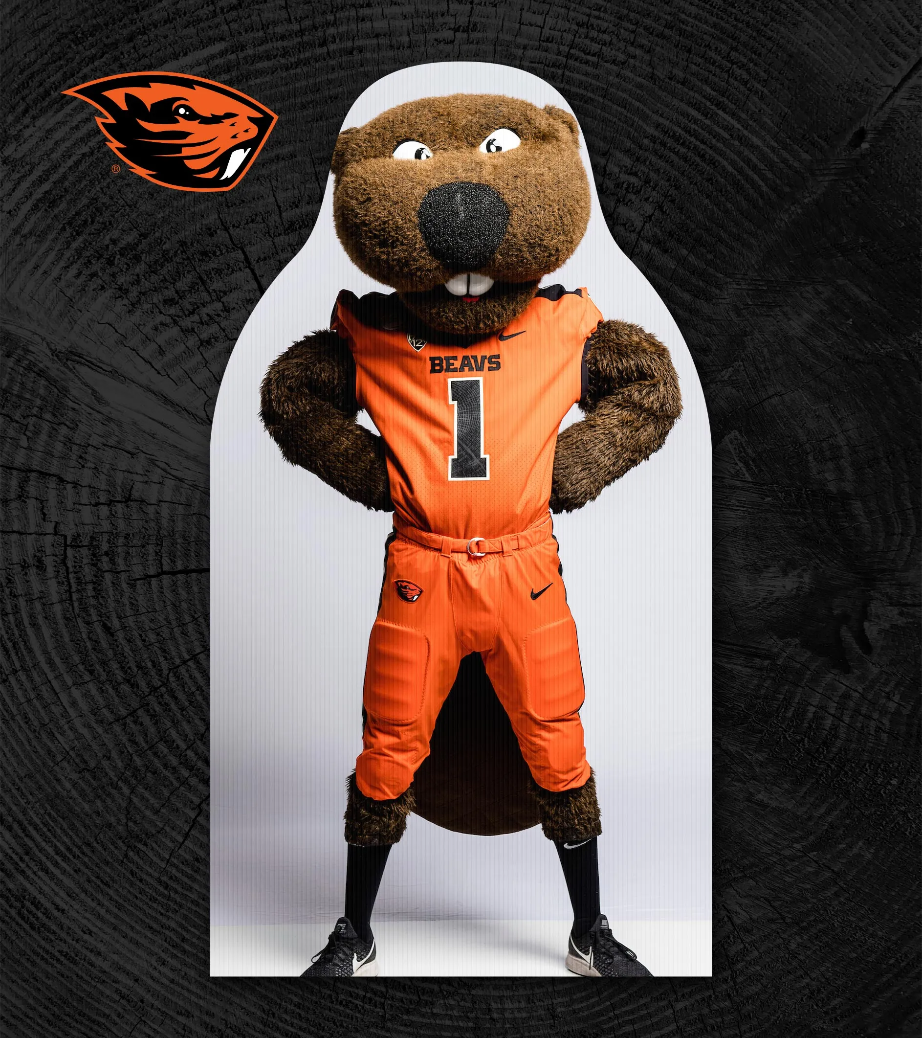Beavers Gill Coliseum Fan Cutouts
