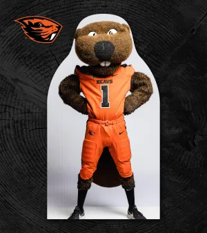 Beavers Gill Coliseum Fan Cutouts