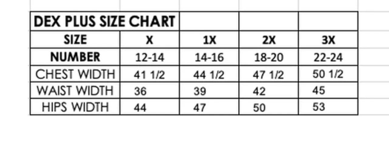Classic V-neck Blouse - Plus Sizes
