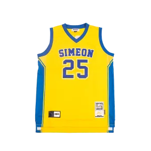 DERRICK ROSE HIGH SCHOOL YOUTH BASKETBALL JERSEY