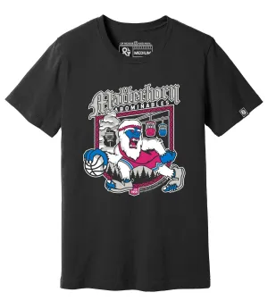 Matterhorn Basketball