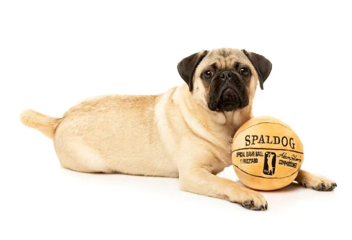 Spaldog Plush Basketball Toy