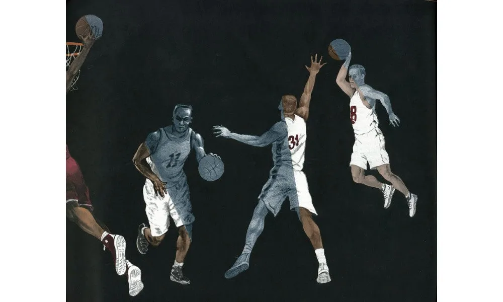 Sport Basketball 2662IN IN2662 Wallpaper Border