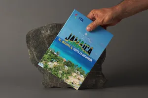 Vacaciones en Jamaica